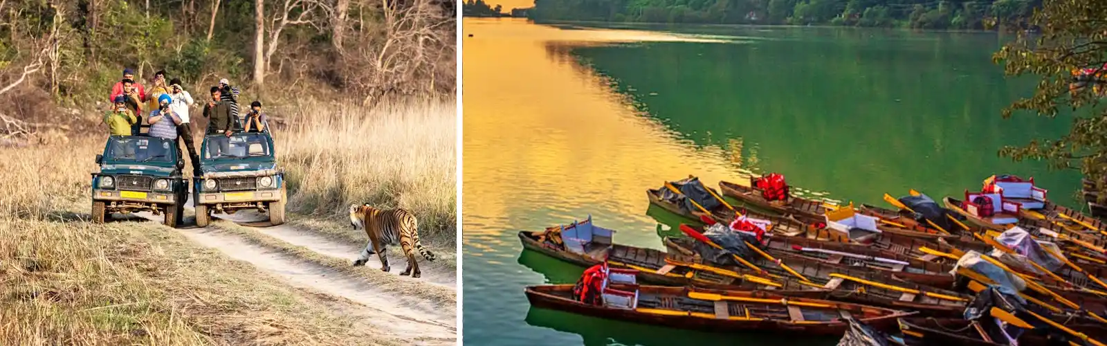 Nainital Jim Corbett Tour Package