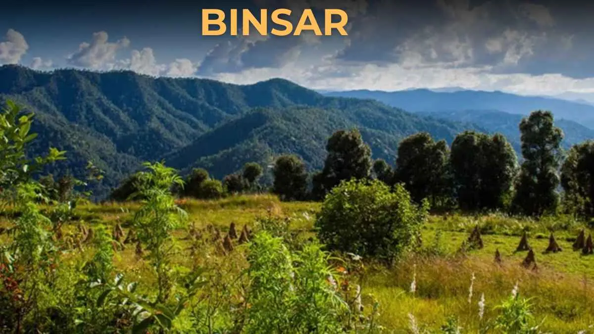 Delhi to Binsar