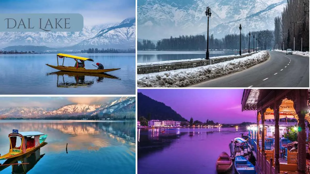 Dal Lake in Kashmir 