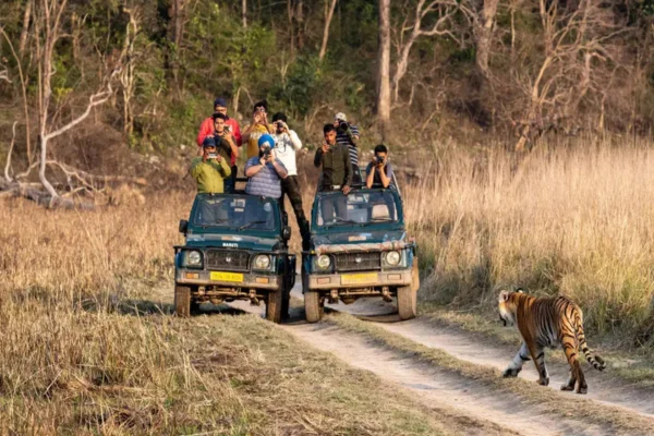 Nainital Jim Corbett Tour Package