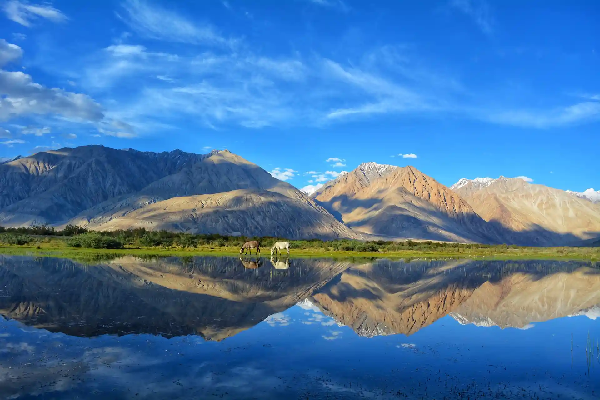 Ladakh Tour With Himachal